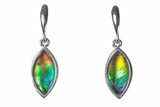 Stunning Ammolite Faceted Marquise Pendant/Earrings Set #376245-2